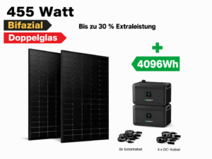 1820 WP & 4 KW Speicher, 4 bifaziale Hochleistungsmodule