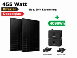 1820 WP & 4 KW Speicher, 4 bifaziale Hochleistungsmodule