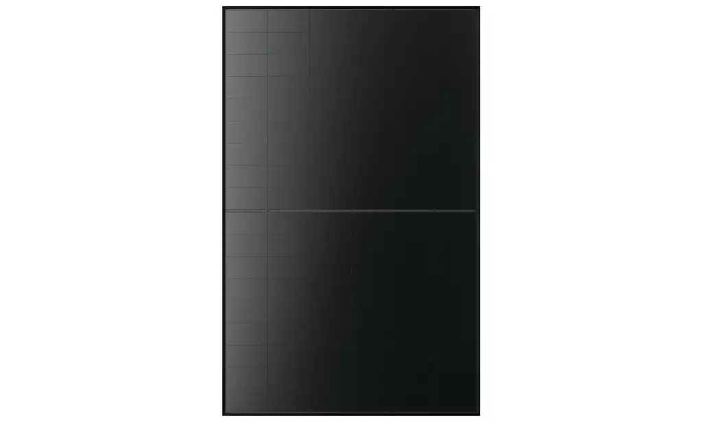 LONGi EcoLife Anti-Glare Pro LR7-54HVB-465M - (FB, R30, EVO2, P36) – Bild 2