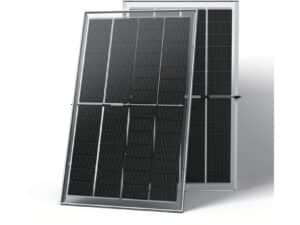 Trina Honey TSM-290NEG9M4C.26 Bifacial Doppelglas - (R30, EVO2)