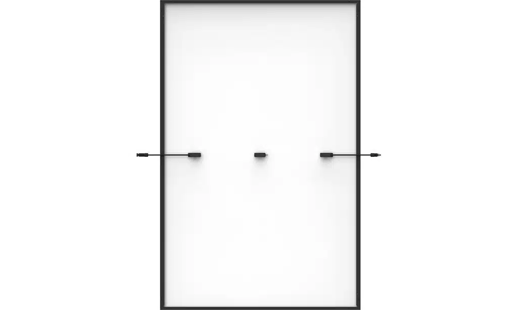 Trina Vertex S+ TSM-460NEG9R.28 Doppelglas - (BF, R30, EVO2) – Bild 3