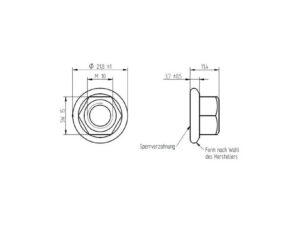 novotegra Sperrzahnmutter M10 SW15 V2A ähnl. DIN 6923 (VPE100)